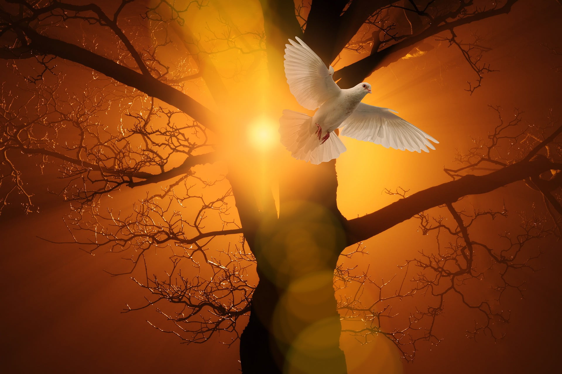 the-holy-spirit-in-the-gospel-of-john-jonathan-srock